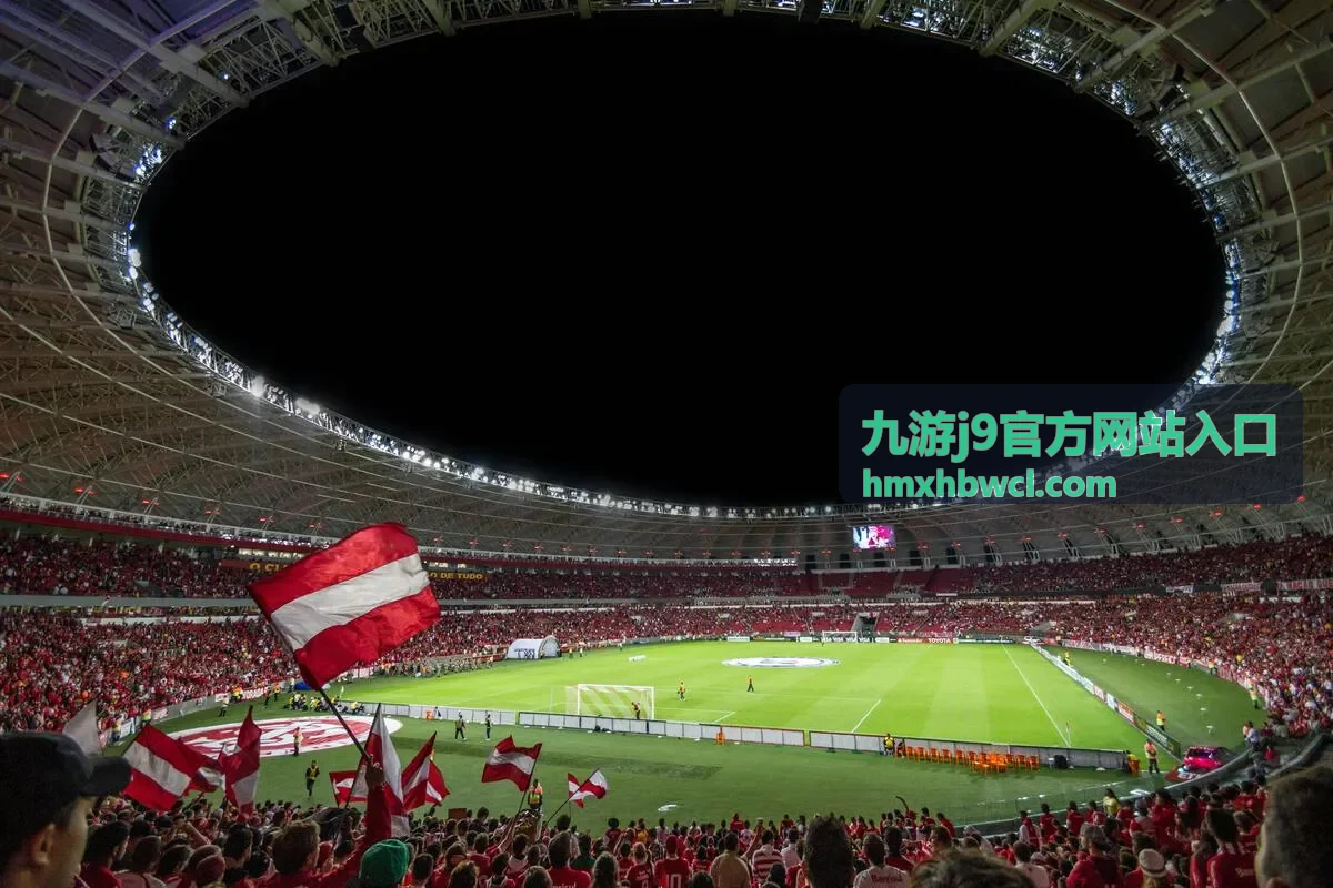 九游j9官方网站入口账号服务安全设置界面示意